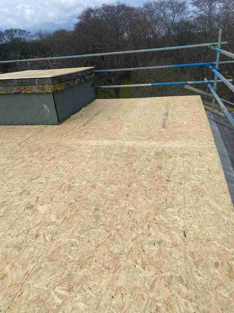 Old Flat Roof